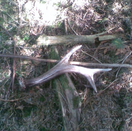 Prekvapenie v mladine