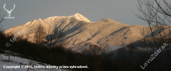 Osobita