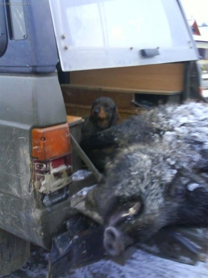 Fila stražho,je tvoj.