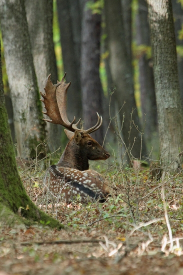 Jedna z dnešného dňa