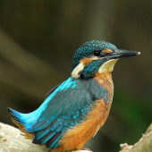 Mlady na prvom výlete