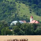Aj jeleni chodia pod kostolík...