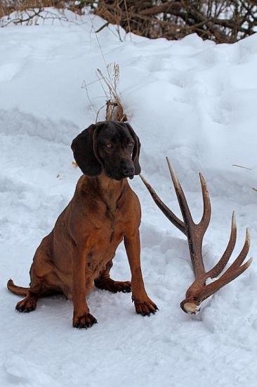 Dnešná prechádzka