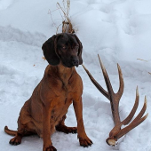 Dnešná prechádzka