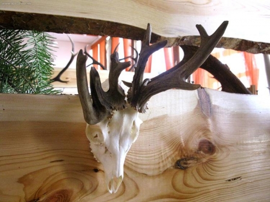 Toto je raritka, čo?