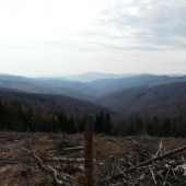 Pohľad zo Súľovej