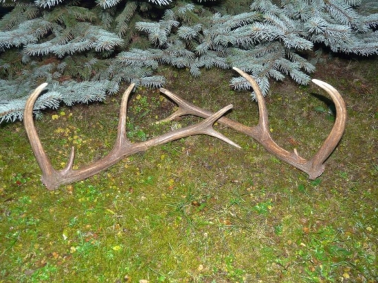 Z môjho archívu nájdené 2008