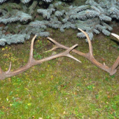 Z môjho archívu nájdené 2008