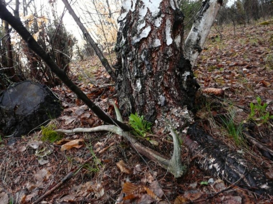 Úplne zabudnutý, ale určite aj taký poteší