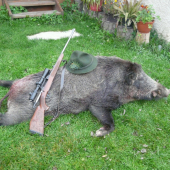 Zadarilo sa pri svetle Mesiaca