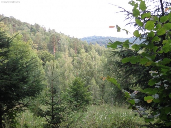 čistinka