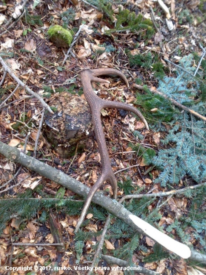 A dalsi