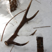 osmacik 1,6kg