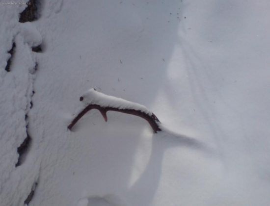 konečne prvy v tomto roku