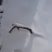 konečne prvy v tomto roku