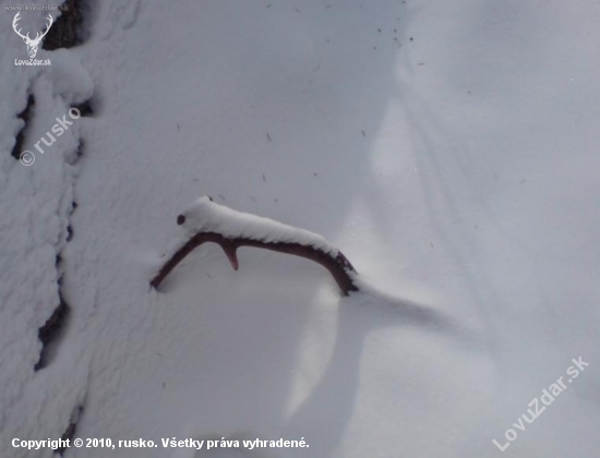 konečne prvy v tomto roku