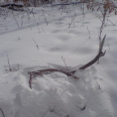 po nachodenych 200km  prisla odmena .1,1kg