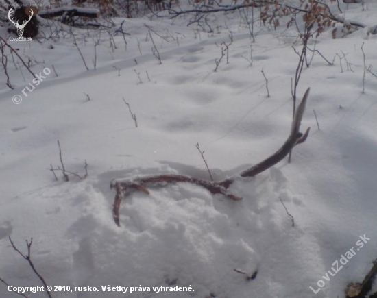po nachodenych 200km  prisla odmena .1,1kg