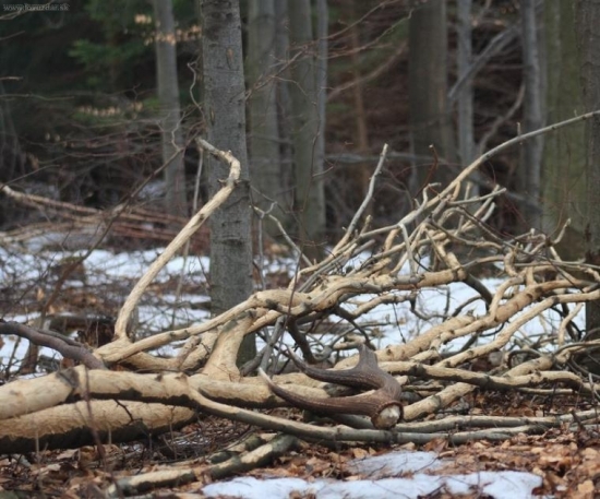 skoda ze zlomeny, ale aj tak 1,7kg