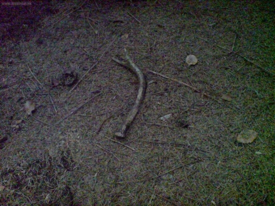 a este jeden vcerajsi