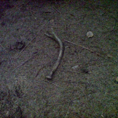 a este jeden vcerajsi