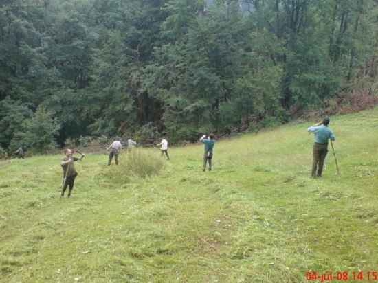 kosenie luky kostelec lesnikmi z Muranskej Planiny