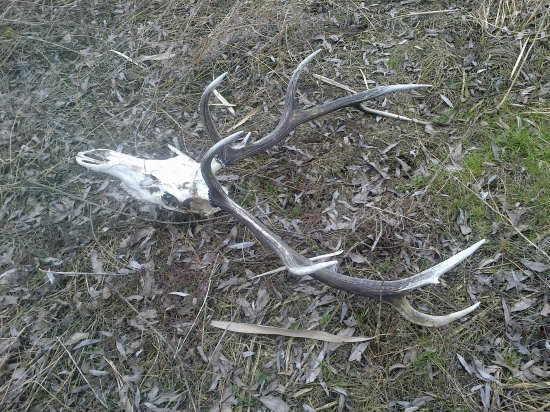 Keď neprší, aspoň kvapká :-)