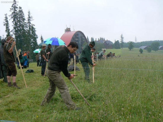 Kosenie tatr.luk -autor v akcii