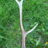 Pri kontrole lapacov 2