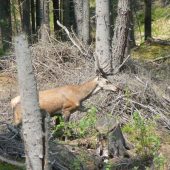 V predošlom zamestnaní