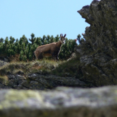 Pri doprovode filmového štábu