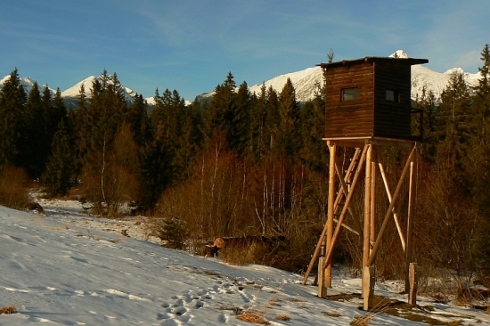 Nový posed na Hobakore