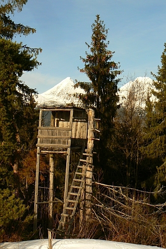 Pár zím už prežil...