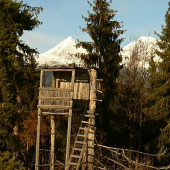 Pár zím už prežil...