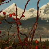 Aj zima je farebná....