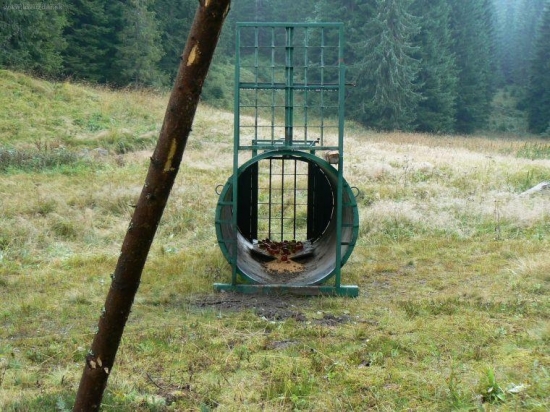 Klietka na odchyt medveda