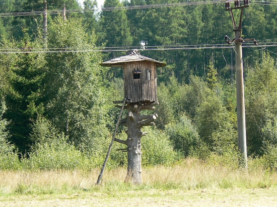 Domček na stračej nôžke