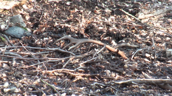 A ukázal sa aj druhý