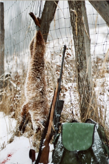 Lišiak zo Škaredého Bresta
