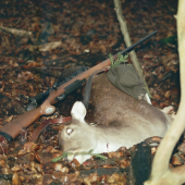 Danielka zo Škaredého Bresta