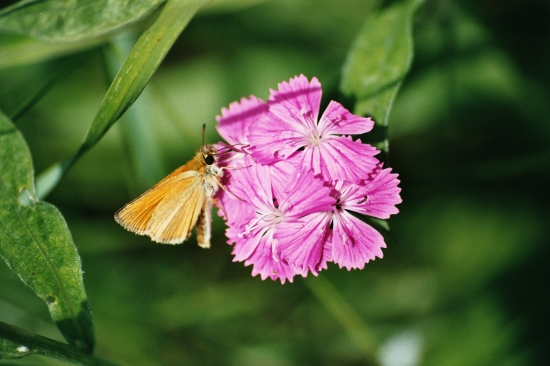 Len tak pre potešenie