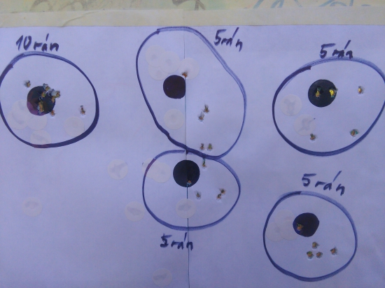 22 LR Blazer