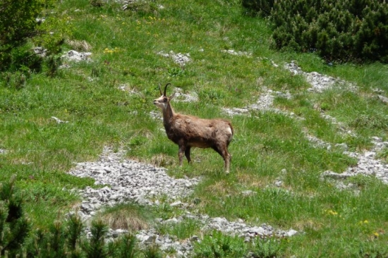 na túre Belianske Tatry