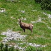 na túre Belianske Tatry