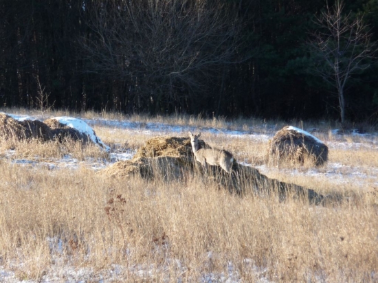 na nedelnej prechanzke
