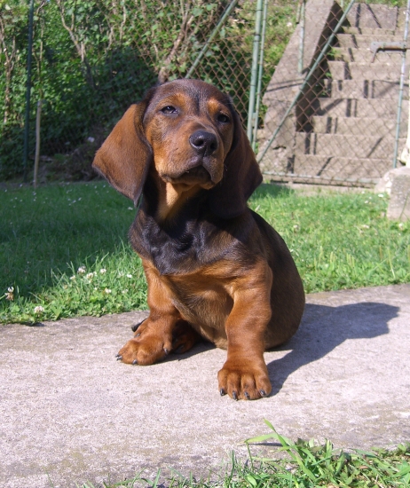 Kto je väčši frajer ako ja??