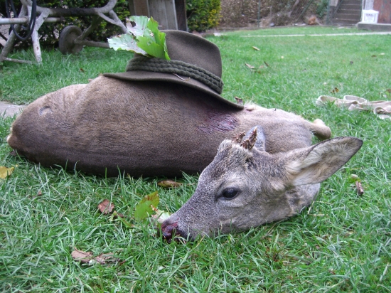 Na poslednú chvíľu ... r.2011