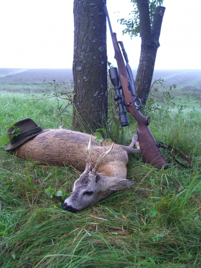 ... a Steyr je pokrstený ...