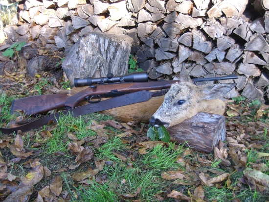 posledný z r.2013