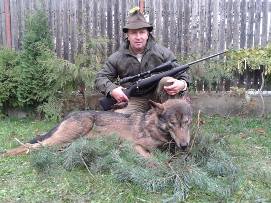 vlk ešte raz ten istý ako od 338